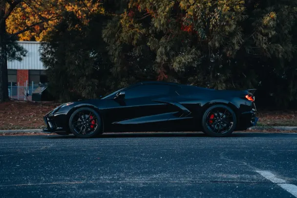 카지노 스티키 와일즈 안드로이드/iOS 앱